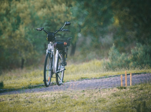 Is jouw e-bike wel goed verzekerd tegen diefstal?